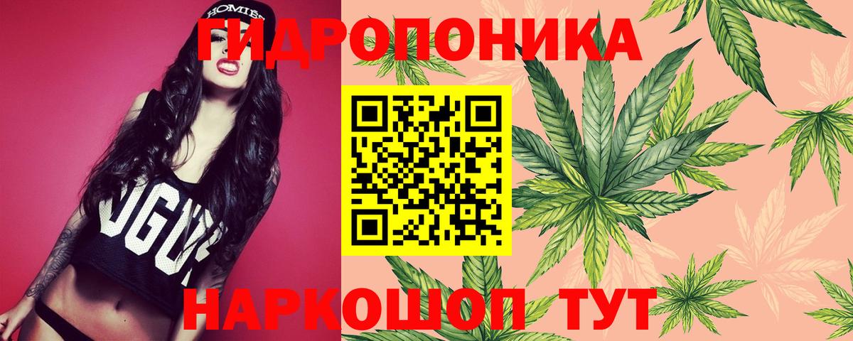 МАРИХУАНА OG Kush Мурманск